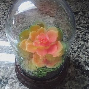 Succulent Terrarium